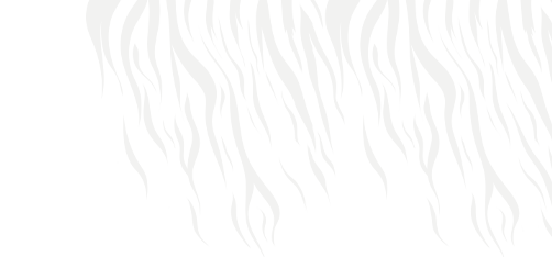 Save on RoKiss Collections!